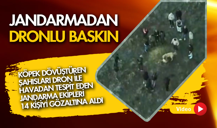 Köpek dövüştüren şahıslara jandarmadan dronlu baskın